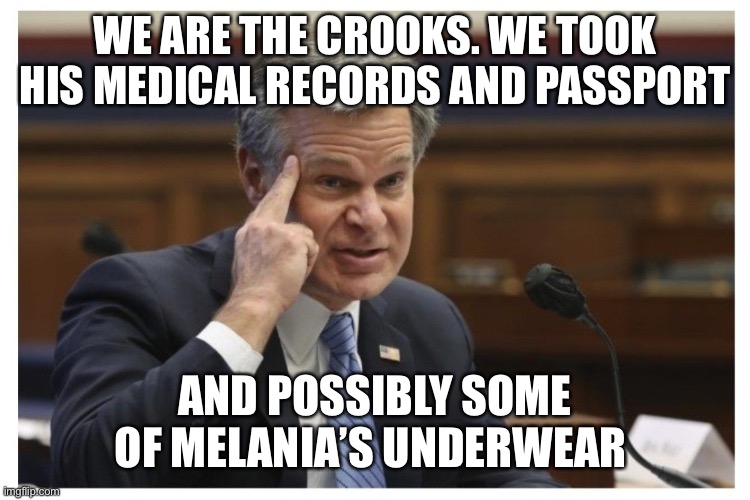 Wray if | WE ARE THE CROOKS. WE TOOK HIS MEDICAL RECORDS AND PASSPORT AND POSSIBLY SOME OF MELANIA’S UNDERWEAR | image tagged in wray if | made w/ Imgflip meme maker