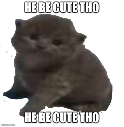 HE BE CUTE THO; HE BE CUTE THO | made w/ Imgflip meme maker