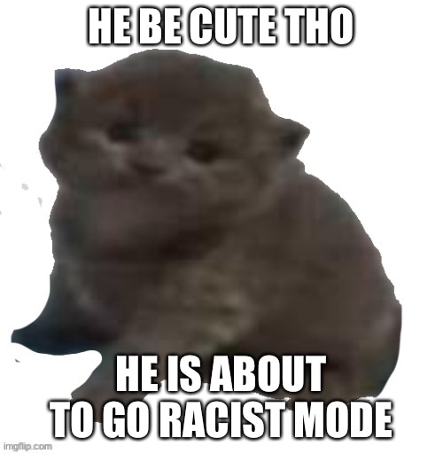 Shave of his fur and he can now be racist | HE BE CUTE THO; HE IS ABOUT TO GO RACIST MODE | made w/ Imgflip meme maker