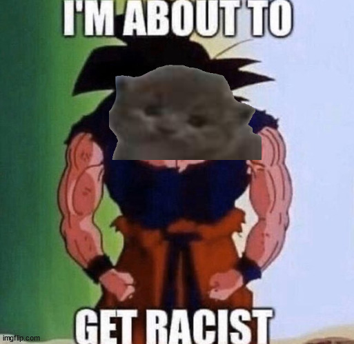 I'm about to get racist | image tagged in i'm about to get racist | made w/ Imgflip meme maker