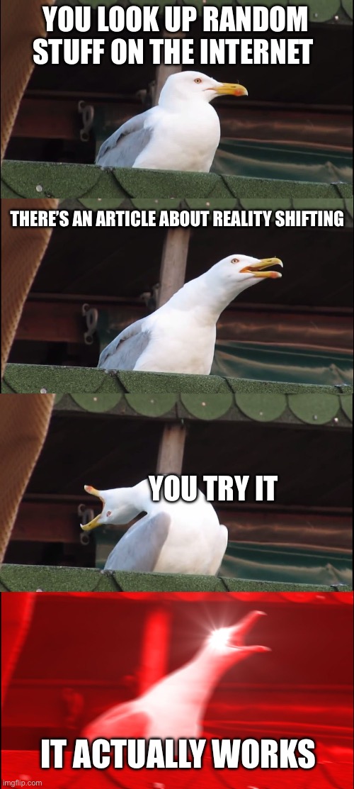 Reality shifting | YOU LOOK UP RANDOM STUFF ON THE INTERNET; THERE’S AN ARTICLE ABOUT REALITY SHIFTING; YOU TRY IT; IT ACTUALLY WORKS | image tagged in memes,inhaling seagull | made w/ Imgflip meme maker