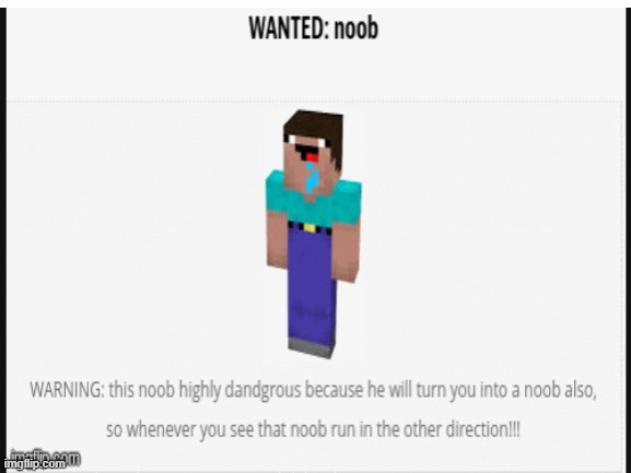 WANTED:noob | made w/ Imgflip meme maker