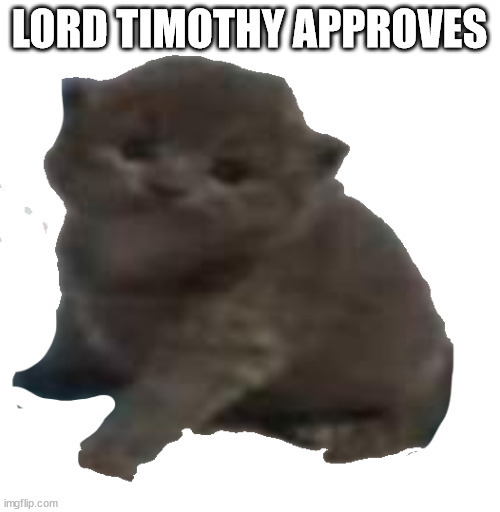 lord timothy the third | LORD TIMOTHY APPROVES | image tagged in lord timothy the third | made w/ Imgflip meme maker