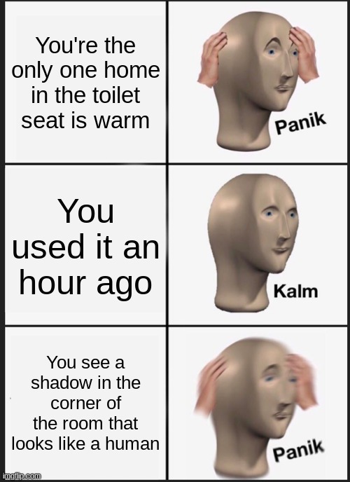 bath room horror | You're the only one home in the toilet seat is warm; You used it an hour ago; You see a shadow in the corner of the room that looks like a human | image tagged in memes,panik kalm panik | made w/ Imgflip meme maker