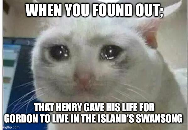 RIP Henry. Our brave and Useful number 3 | WHEN YOU FOUND OUT;; THAT HENRY GAVE HIS LIFE FOR GORDON TO LIVE IN THE ISLAND'S SWANSONG | image tagged in crying cat | made w/ Imgflip meme maker