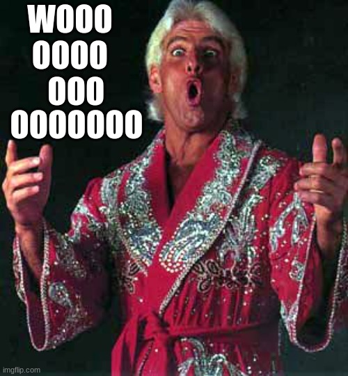 Nature Boy Rick Flair  | WOOO OOOO   OOO OOOOOOO | image tagged in nature boy rick flair | made w/ Imgflip meme maker