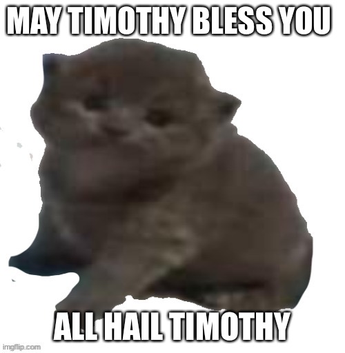 MAY TIMOTHY BLESS YOU; ALL HAIL TIMOTHY | made w/ Imgflip meme maker