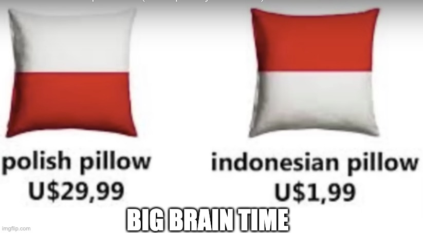 Difference | BIG BRAIN TIME | image tagged in pillow,poland,indonesia,yeah this is big brain time,big brain | made w/ Imgflip meme maker