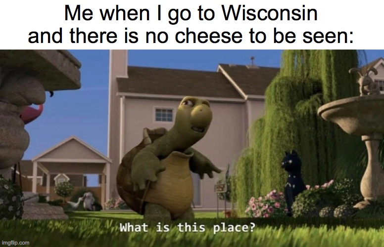 Wait. What? | Me when I go to Wisconsin and there is no cheese to be seen: | image tagged in what is this place | made w/ Imgflip meme maker