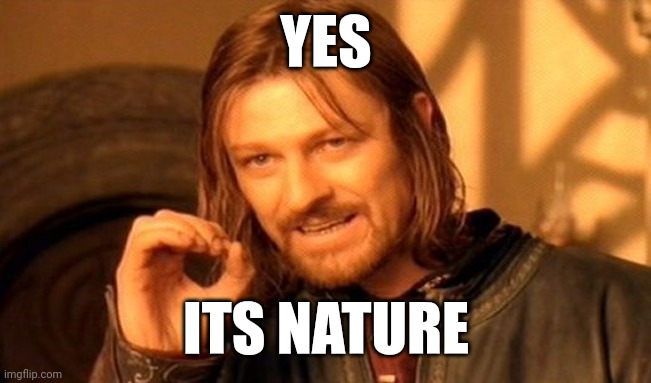 One Does Not Simply Meme | YES ITS NATURE | image tagged in memes,one does not simply | made w/ Imgflip meme maker