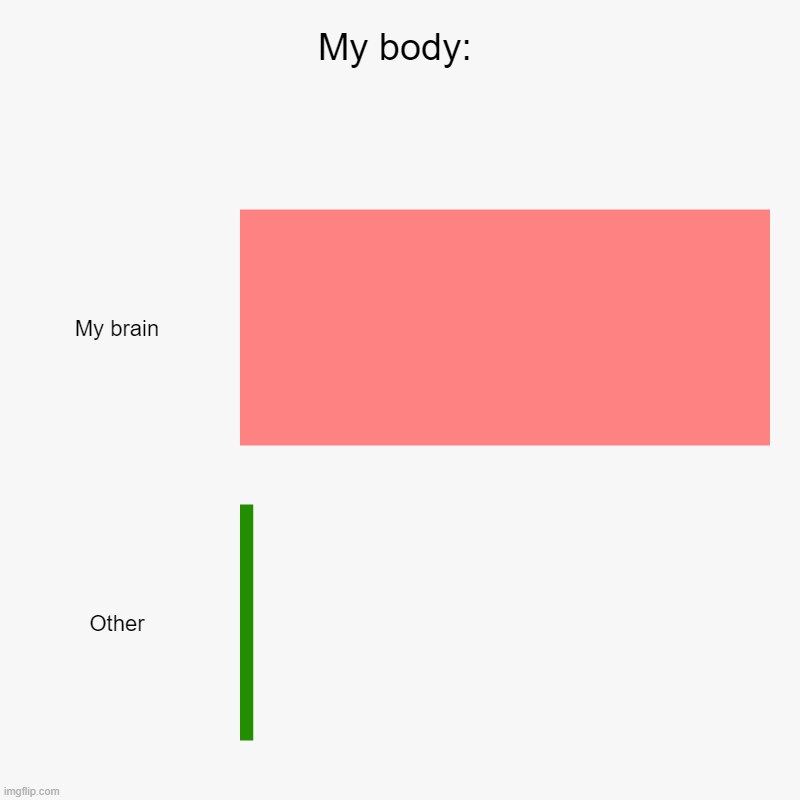 My body | My body: | My brain, Other | image tagged in charts,bar charts | made w/ Imgflip chart maker