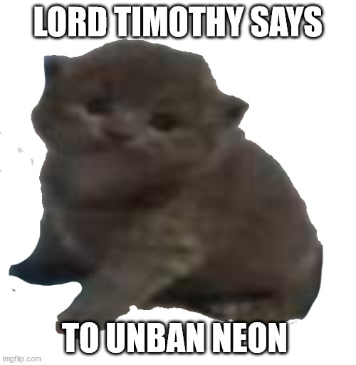 he's black he can say the n word | LORD TIMOTHY SAYS; TO UNBAN NEON | image tagged in lord timothy the third | made w/ Imgflip meme maker