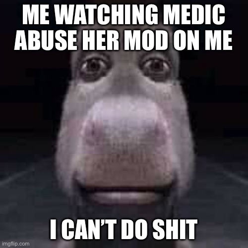 Donkey staring | ME WATCHING MEDIC ABUSE HER MOD ON ME; I CAN’T DO SHIT | image tagged in donkey staring | made w/ Imgflip meme maker