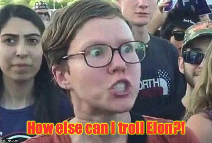Triggered Liberal | How else can I troll Elon?! | image tagged in triggered liberal | made w/ Imgflip meme maker