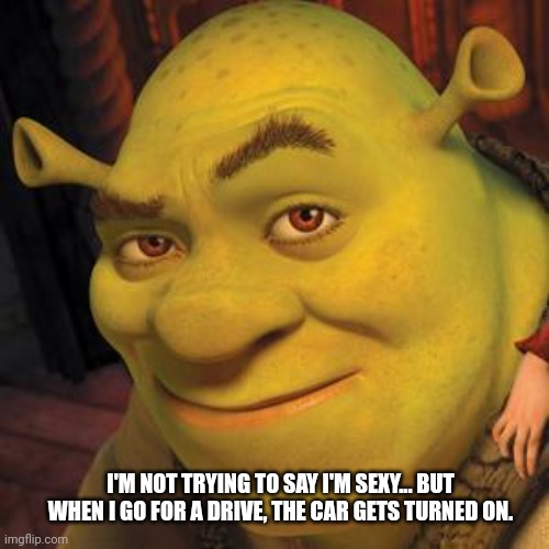 Shrek Sexy Face | I'M NOT TRYING TO SAY I'M SEXY... BUT WHEN I GO FOR A DRIVE, THE CAR GETS TURNED ON. | image tagged in shrek sexy face | made w/ Imgflip meme maker