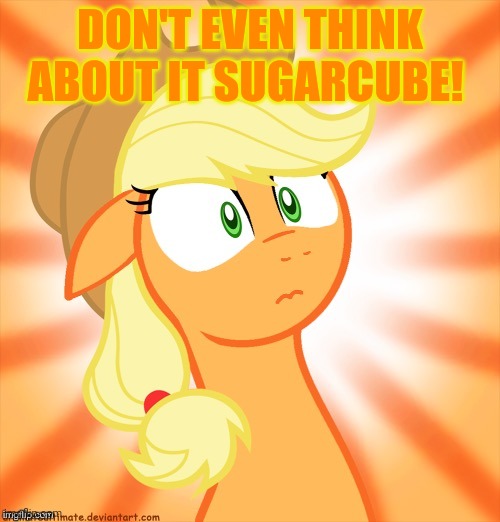 Shocked Applejack | DON'T EVEN THINK ABOUT IT SUGARCUBE! | image tagged in shocked applejack | made w/ Imgflip meme maker