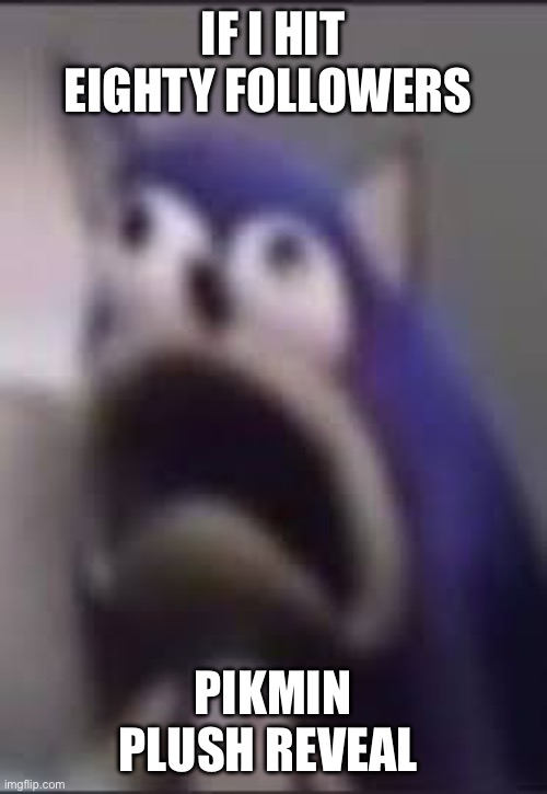 IF I HIT EIGHTY FOLLOWERS; PIKMIN PLUSH REVEAL | made w/ Imgflip meme maker