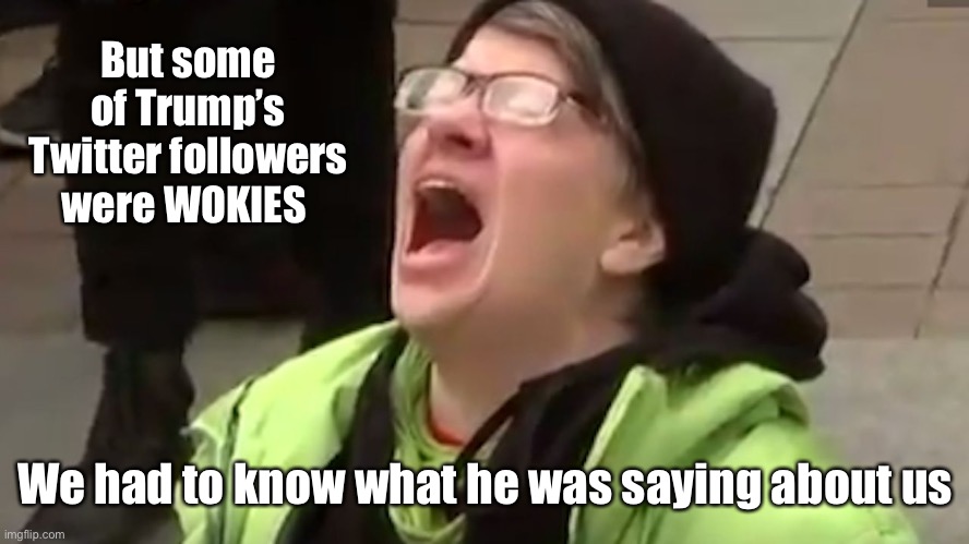 Screaming Liberal  | But some of Trump’s Twitter followers were WOKIES We had to know what he was saying about us | image tagged in screaming liberal | made w/ Imgflip meme maker