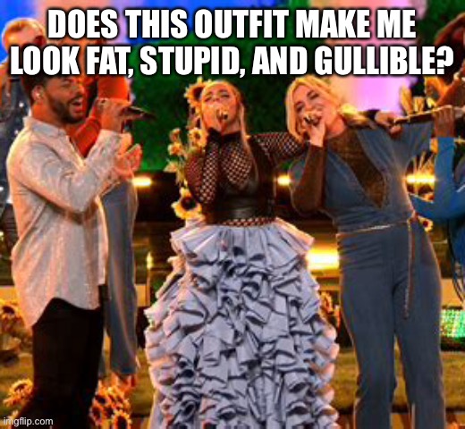 Celebrity Idiot |  DOES THIS OUTFIT MAKE ME LOOK FAT, STUPID, AND GULLIBLE? | image tagged in fashion police,hollywood,woke,gullible | made w/ Imgflip meme maker