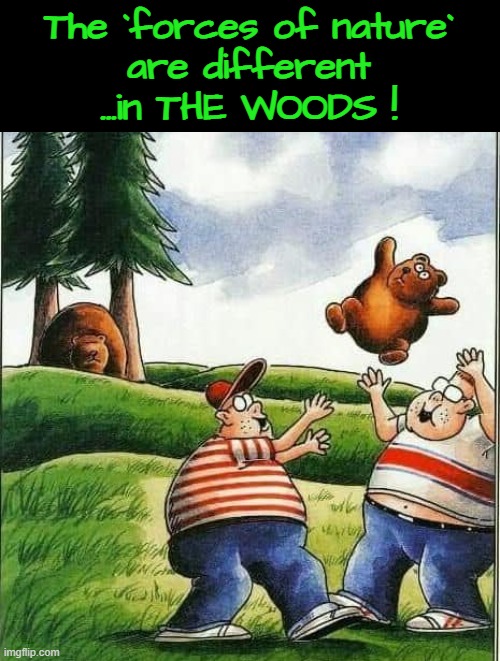 Bear neccesities ! | The `forces of nature`
are different
...in THE WOODS ! | made w/ Imgflip meme maker