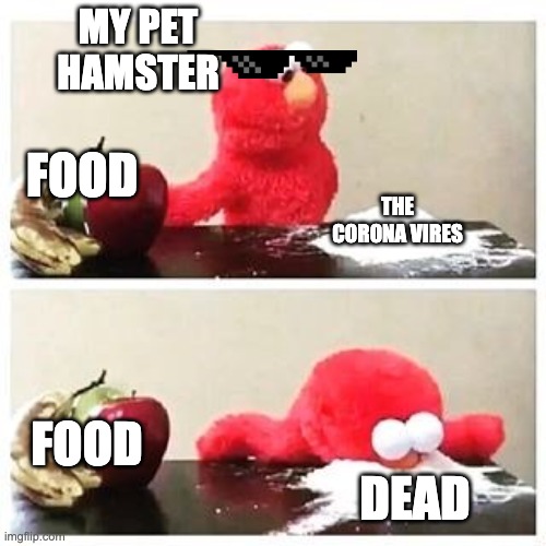 elmo cocaine | MY PET HAMSTER; FOOD; THE CORONA VIRES; FOOD; DEAD | image tagged in elmo cocaine | made w/ Imgflip meme maker