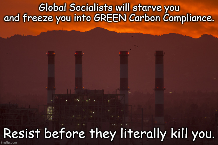 Resist at every level | Global Socialists will starve you and freeze you into GREEN Carbon Compliance. Resist before they literally kill you. | image tagged in memes,politics | made w/ Imgflip meme maker