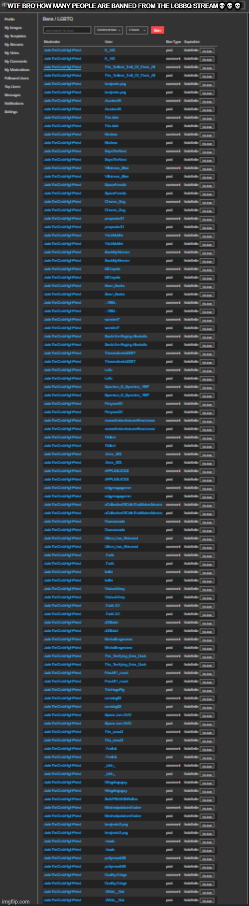 bro :skull: | WTF BRO HOW MANY PEOPLE ARE BANNED FROM THE LGBBQ STREAM💀💀💀 | made w/ Imgflip meme maker