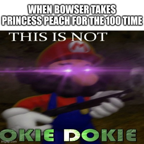 WHEN BOWSER TAKES PRINCESS PEACH FOR THE 100 TIME | image tagged in fun,mario | made w/ Imgflip meme maker