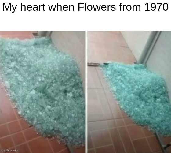 https://www.quotev.com/story/14784495/Flowers-From-1970-Credits-to-astr0nomika-on-Wattpad/1 yw | My heart when Flowers from 1970 | made w/ Imgflip meme maker