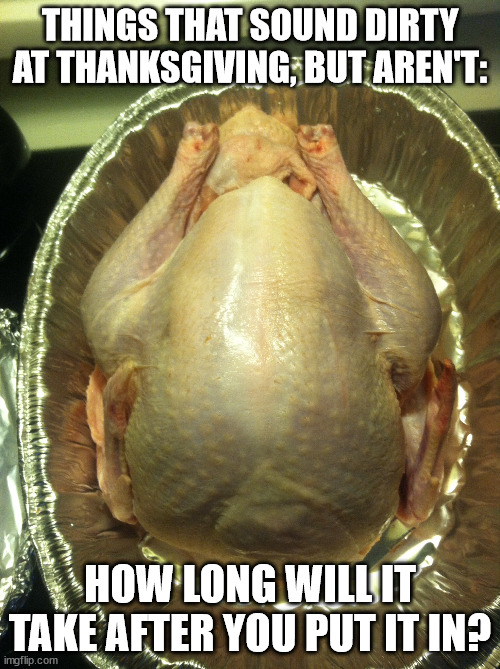 Things That Sound Dirty At Thanksgiving (Part 5) | THINGS THAT SOUND DIRTY AT THANKSGIVING, BUT AREN'T:; HOW LONG WILL IT TAKE AFTER YOU PUT IT IN? | image tagged in thanksgiving turkey,humor,funny,double entendre | made w/ Imgflip meme maker