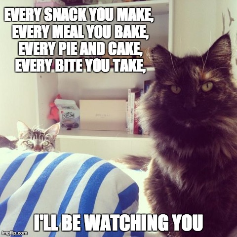 EVERY SNACK YOU MAKE, EVERY MEAL YOU BAKE, EVERY PIE AND CAKE, EVERY BITE YOU TAKE, I'LL BE WATCHING YOU | image tagged in plotting cats | made w/ Imgflip meme maker