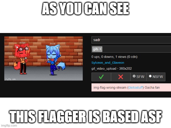 AS YOU CAN SEE; THIS FLAGGER IS BASED ASF | made w/ Imgflip meme maker