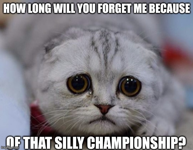 sad kitty | HOW LONG WILL YOU FORGET ME BECAUSE; OF THAT SILLY CHAMPIONSHIP? | image tagged in sad kitty | made w/ Imgflip meme maker