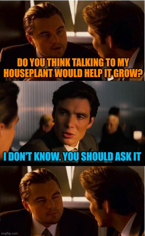 If I could talk to the vegetables, just imagine it. |  DO YOU THINK TALKING TO MY HOUSEPLANT WOULD HELP IT GROW? I DON'T KNOW. YOU SHOULD ASK IT | image tagged in memes,inception,plants | made w/ Imgflip meme maker