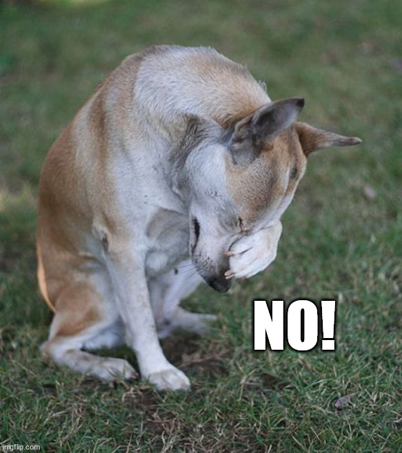 NO! | made w/ Imgflip meme maker
