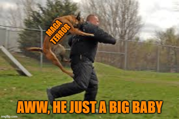 Dog Attack | MAGA
TERROR AWW, HE JUST A BIG BABY | image tagged in dog attack | made w/ Imgflip meme maker
