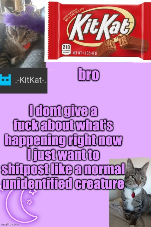 Kittys announcement template kitkat addition | bro; I dont give а fuсk about what's happening right now I just want to shitpost like а normal unidentified creature | image tagged in kittys announcement template kitkat addition | made w/ Imgflip meme maker