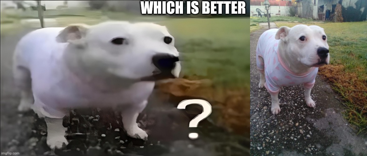WHICH IS BETTER | image tagged in huh dog,high quality huh dog | made w/ Imgflip meme maker