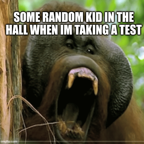 SOME RANDOM KID IN THE HALL WHEN IM TAKING A TEST | image tagged in gifs | made w/ Imgflip images-to-gif maker