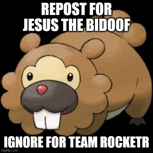 Bidoof | REPOST FOR JESUS THE BIDOOF; IGNORE FOR TEAM ROCKETR | image tagged in bidoof | made w/ Imgflip meme maker