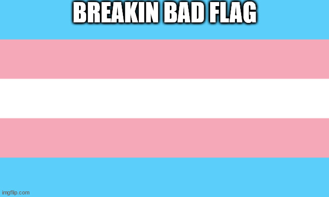 Trans Flag | BREAKIN BAD FLAG | image tagged in trans flag | made w/ Imgflip meme maker