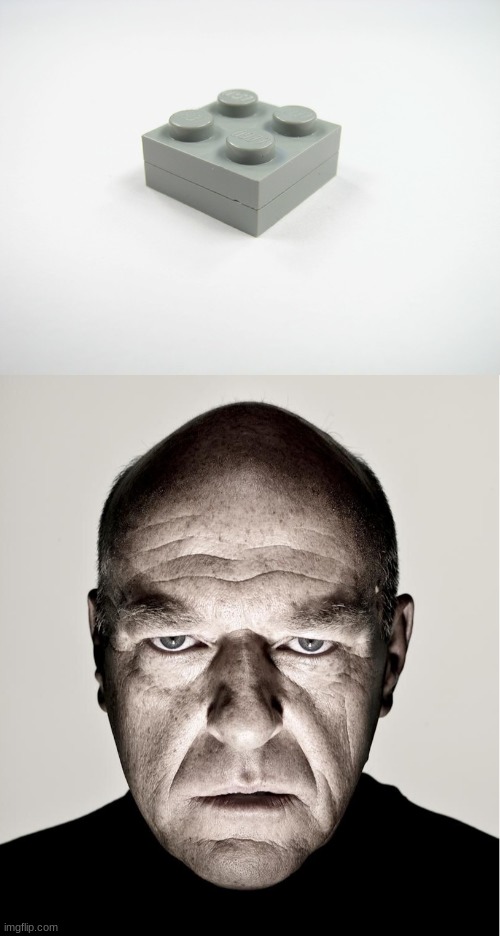 image tagged in two thin lego pieces,dean norris's reaction | made w/ Imgflip meme maker