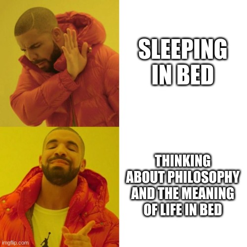 Am I the only one who does that? | SLEEPING IN BED; THINKING ABOUT PHILOSOPHY AND THE MEANING OF LIFE IN BED | image tagged in drake blank | made w/ Imgflip meme maker