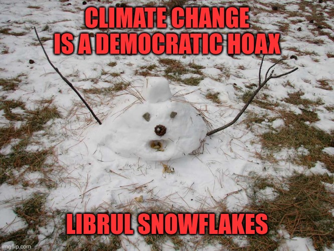 Melted Snowman | CLIMATE CHANGE IS A DEMOCRATIC HOAX LIBRUL SNOWFLAKES | image tagged in melted snowman | made w/ Imgflip meme maker