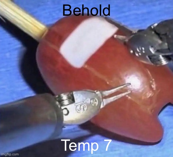amogus on a stick | Behold; Temp 7 | image tagged in amogus on a stick | made w/ Imgflip meme maker