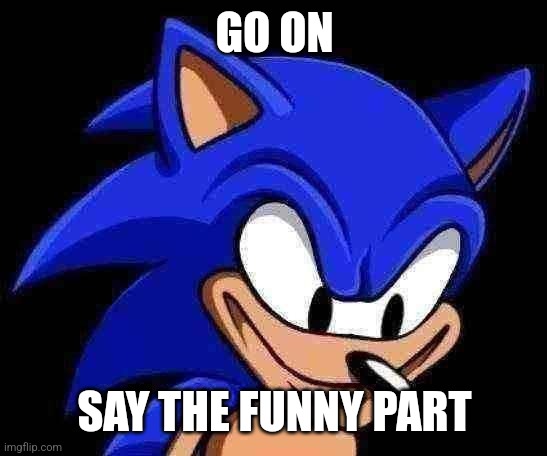 Sonic Stare | GO ON SAY THE FUNNY PART | image tagged in sonic stare | made w/ Imgflip meme maker