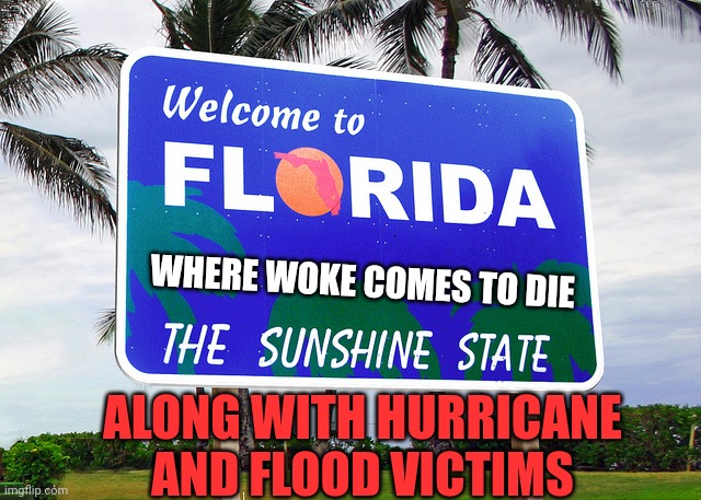 Florida | WHERE WOKE COMES TO DIE ALONG WITH HURRICANE AND FLOOD VICTIMS | image tagged in florida | made w/ Imgflip meme maker