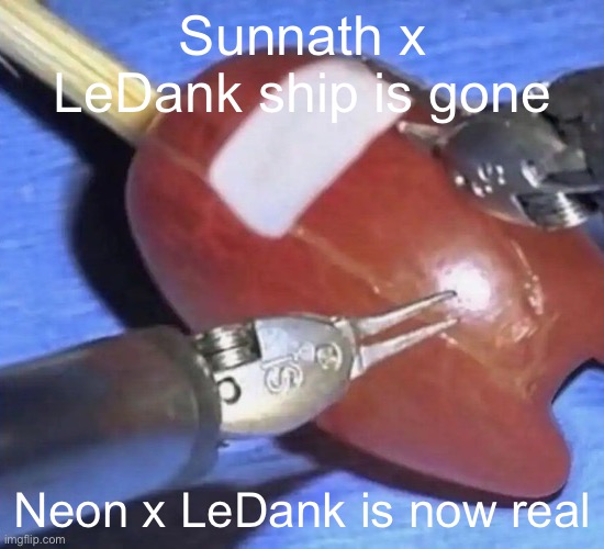 amogus on a stick | Sunnath x LeDank ship is gone; Neon x LeDank is now real | image tagged in amogus on a stick | made w/ Imgflip meme maker