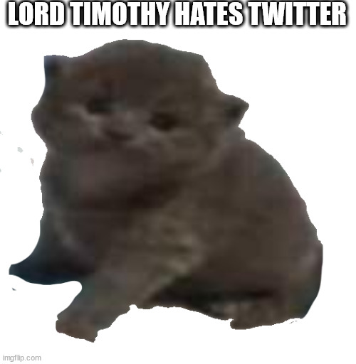 lord timothy the third | LORD TIMOTHY HATES TWITTER | image tagged in lord timothy the third | made w/ Imgflip meme maker