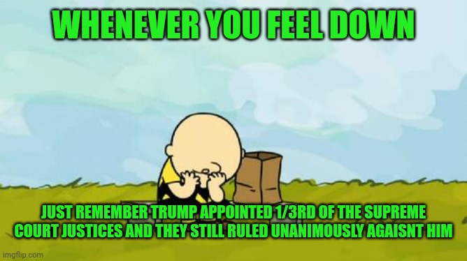 Depressed Charlie Brown | WHENEVER YOU FEEL DOWN JUST REMEMBER TRUMP APPOINTED 1/3RD OF THE SUPREME COURT JUSTICES AND THEY STILL RULED UNANIMOUSLY AGAISNT HIM | image tagged in depressed charlie brown | made w/ Imgflip meme maker